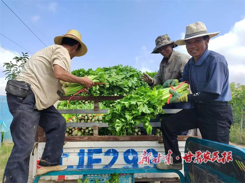 1725004530714815.jpg default.jpg