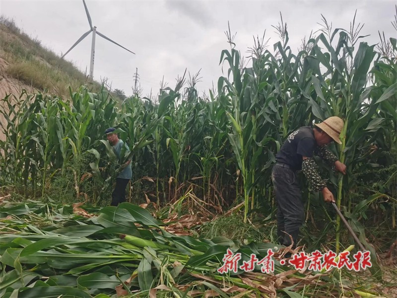 1727164160954822.jpg 微信图片_20240919180519.jpg