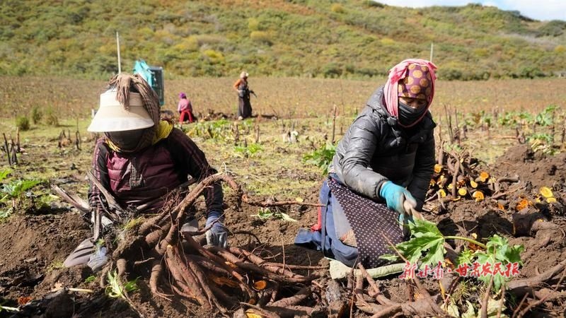 1728961529195003.jpg 微信图片_20241014163258.jpg