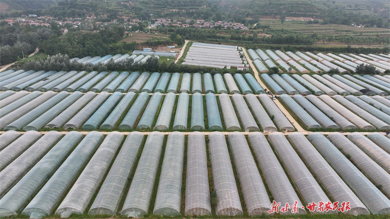 微信图片_20250221174313