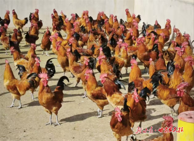 微信图片_20250221172730