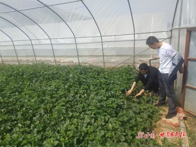 微信图片_20250221174304