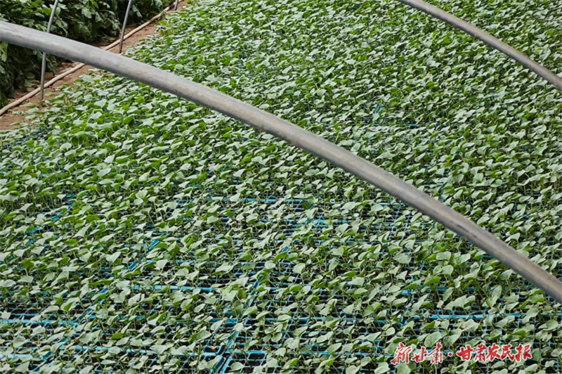 微信图片_20250221172803