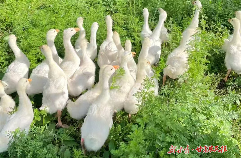 微信图片_20250221172800