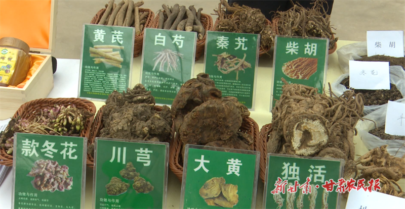 华亭市药材.png