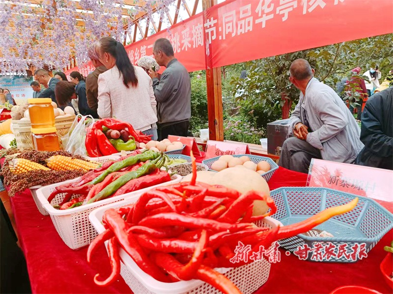 华亭市神峪乡举办农民丰收节展销农产品 马佳妍摄1.jpg