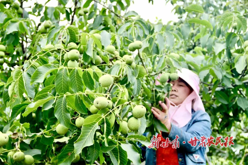 微信图片_20240508115217.jpg