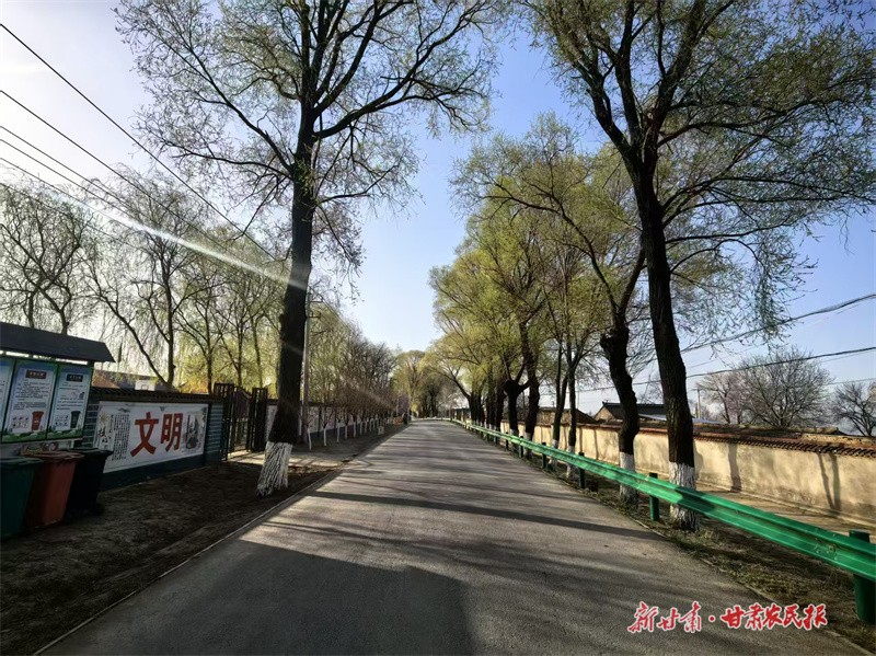 2.甘肃平凉香莲乡：小庭院“扮靓”乡村治理大文章 由受访单位提供 (2).jpg
