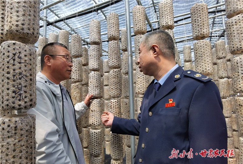 三元1.jpg