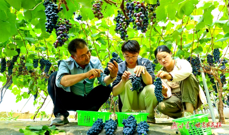 微信图片_20250611163824.jpg