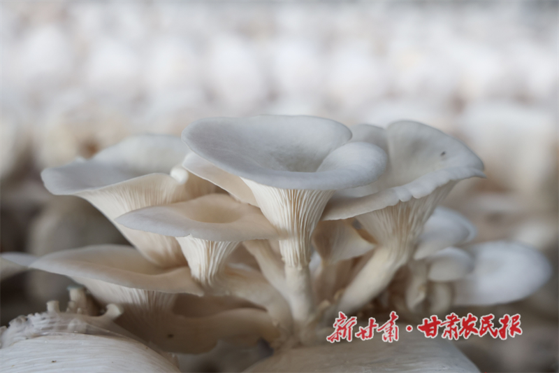 0b50d66a3edbe5785abfbe2d567739e0.png