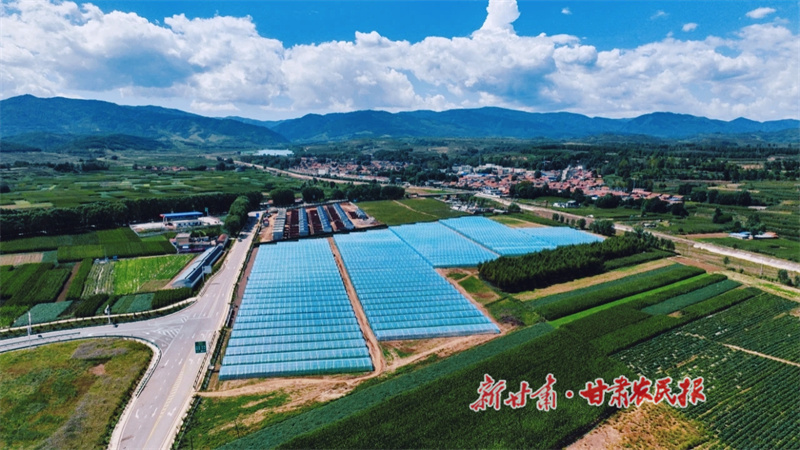 1华亭市山寨乡设施蔬菜基地.jpg