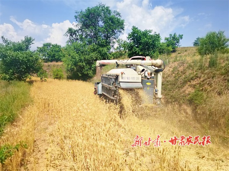 秸秆还田.jpg