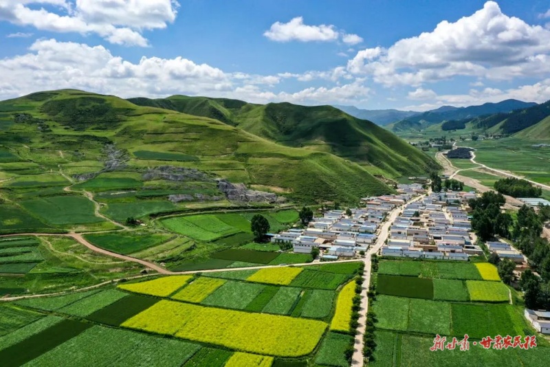 微信图片_2025-08-18_165532_132.jpg