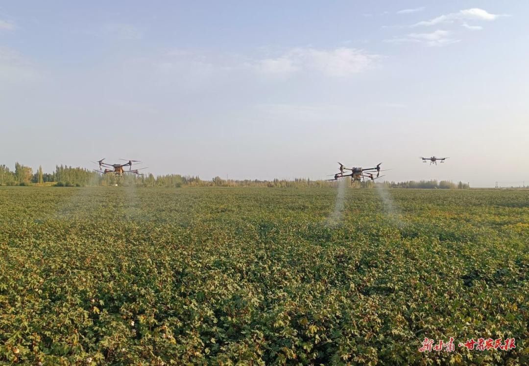 代家沟村无人机飞防 代家沟村无人机飞防