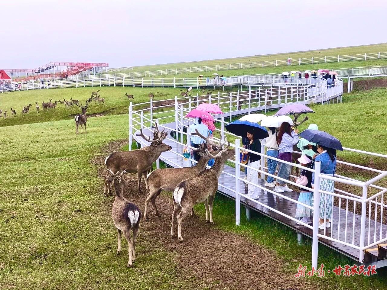 IMG_4325(20250425-163806)