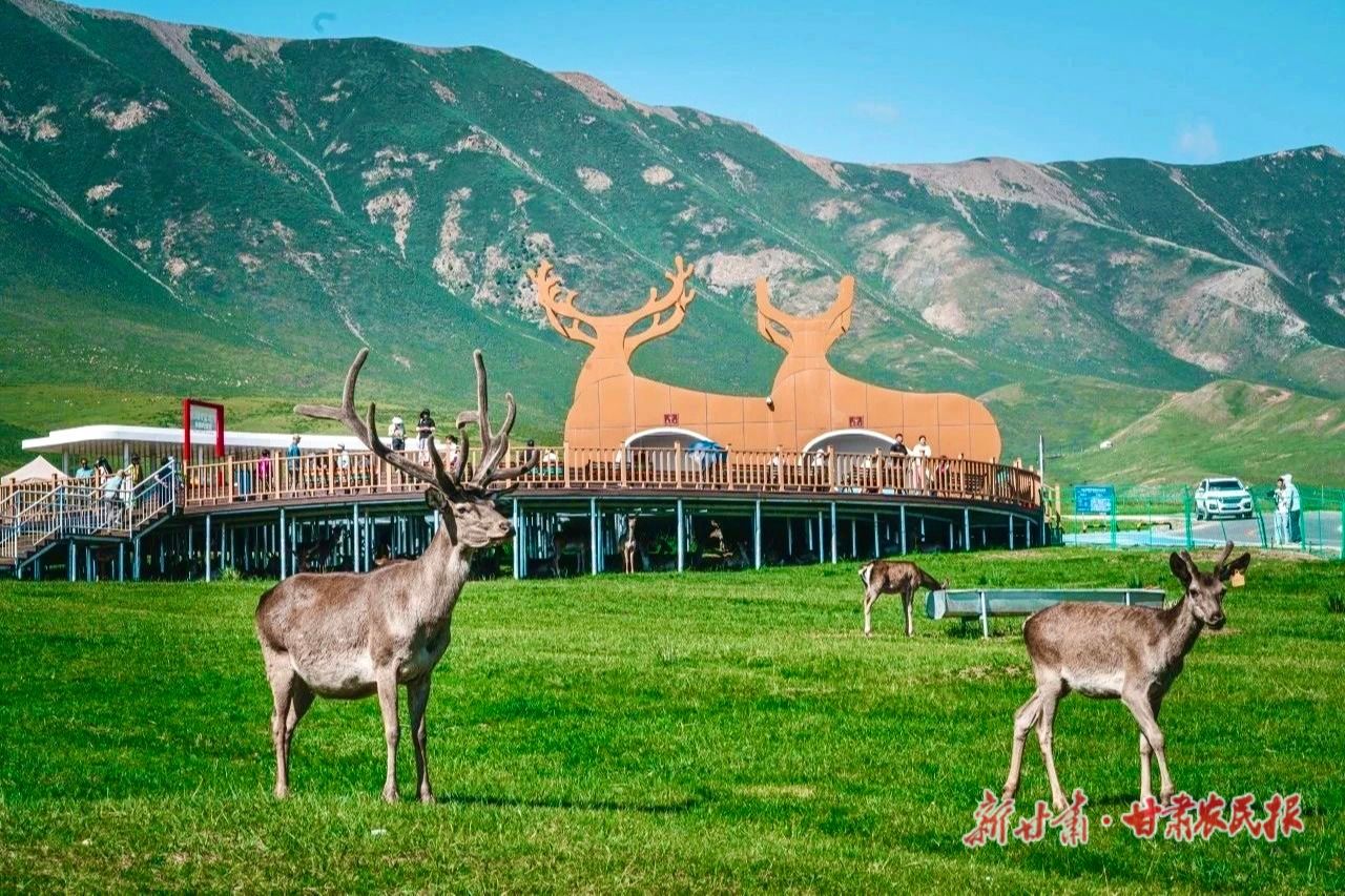 IMG_4327(20250425-171245)