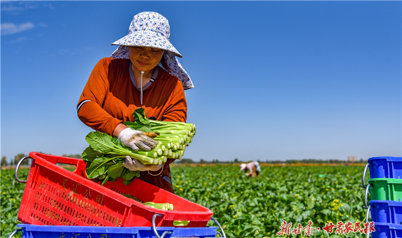 微信图片_20250915153840_33_99