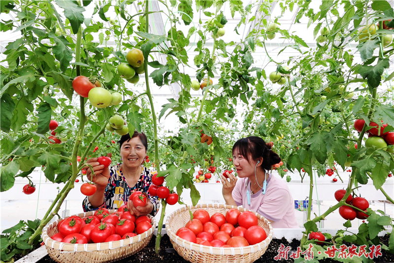 8G0A5708_副本-赵琳  殷旭-高樯