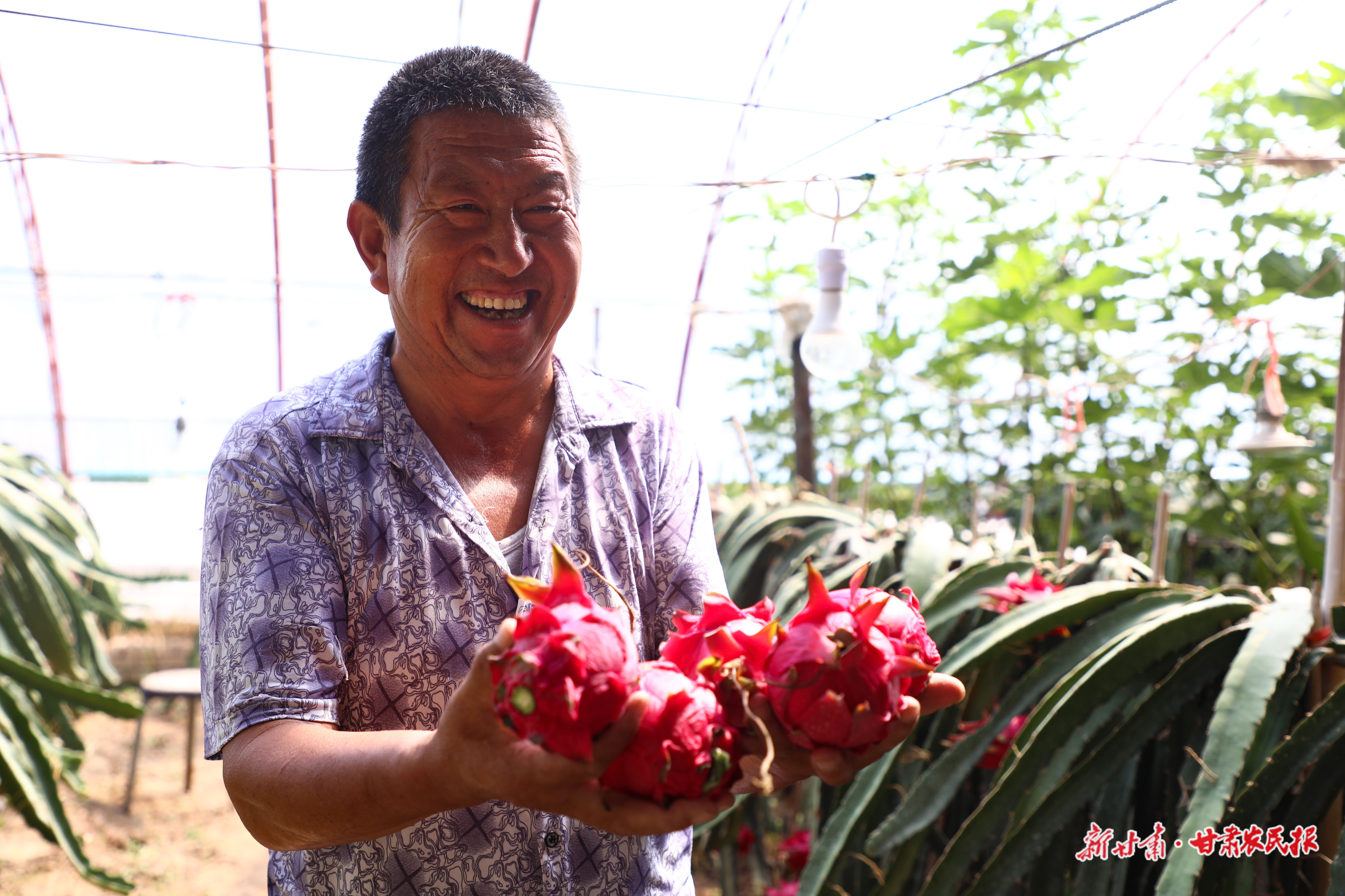 微信图片_20250922230209_88_8