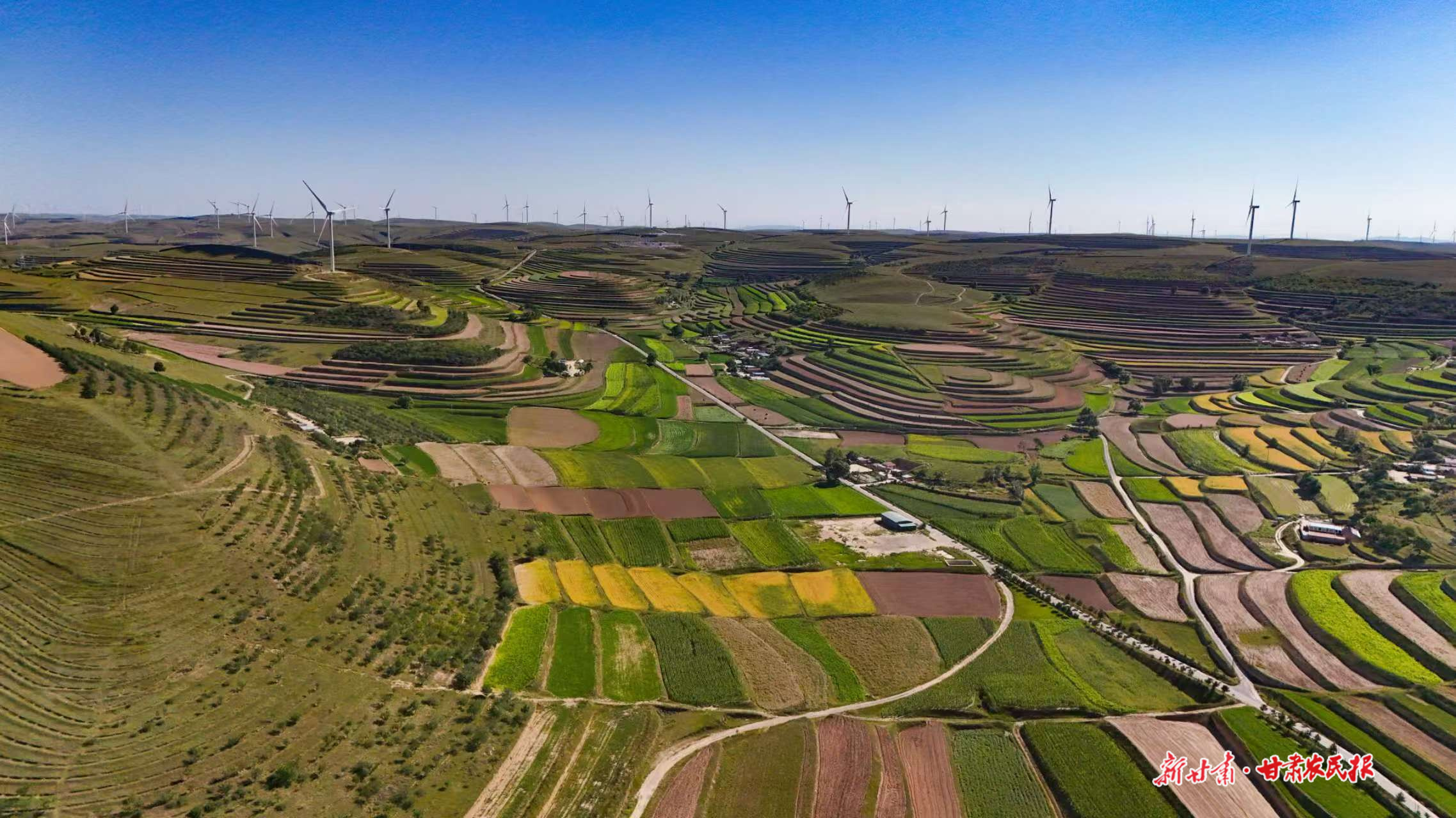 微信图片_20250922230212_93_8