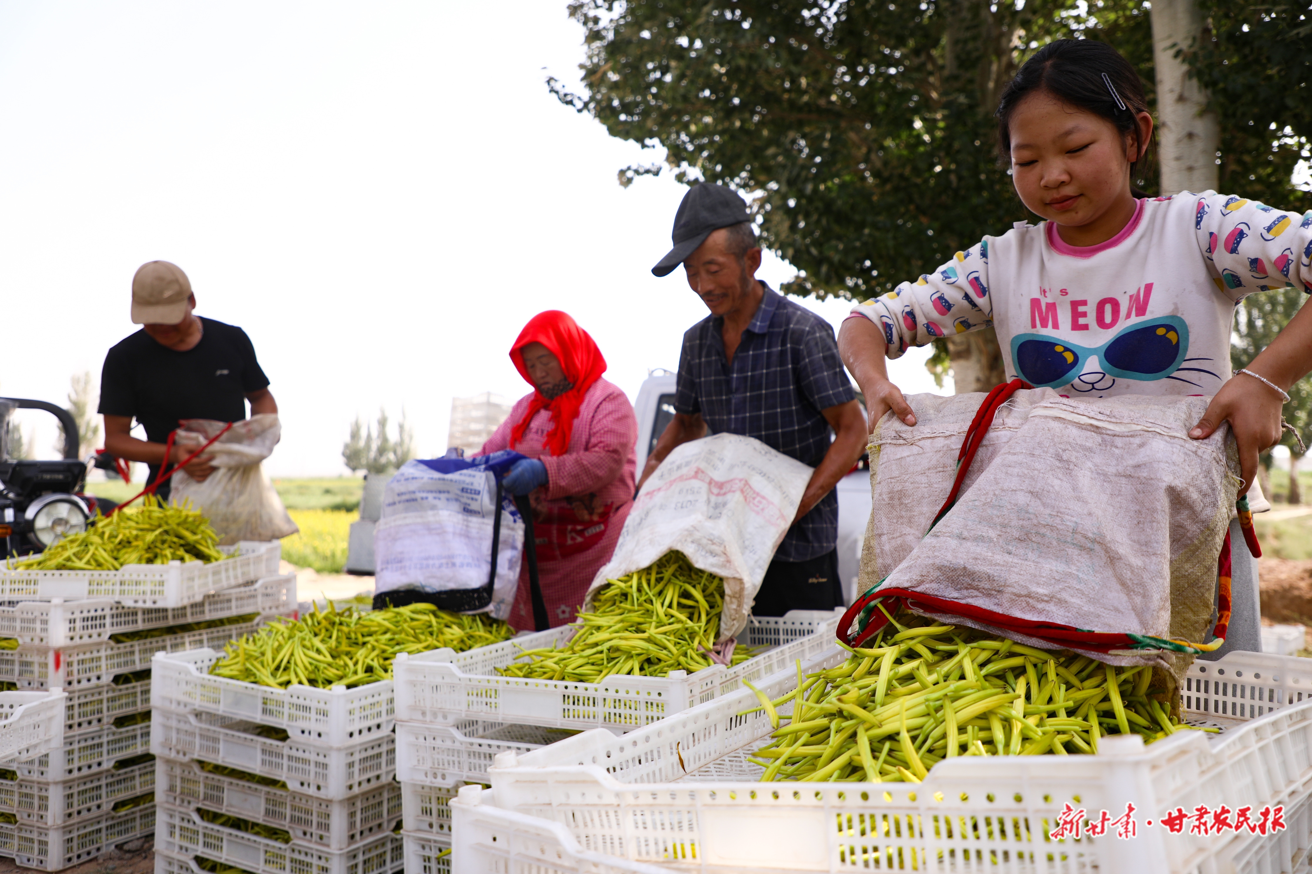 微信图片_20250922230209_89_8