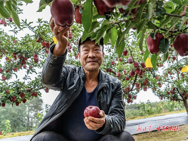 微信图片_20250922212308_308_208