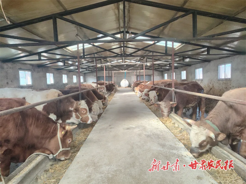 1759133673505385.png 图片3.png