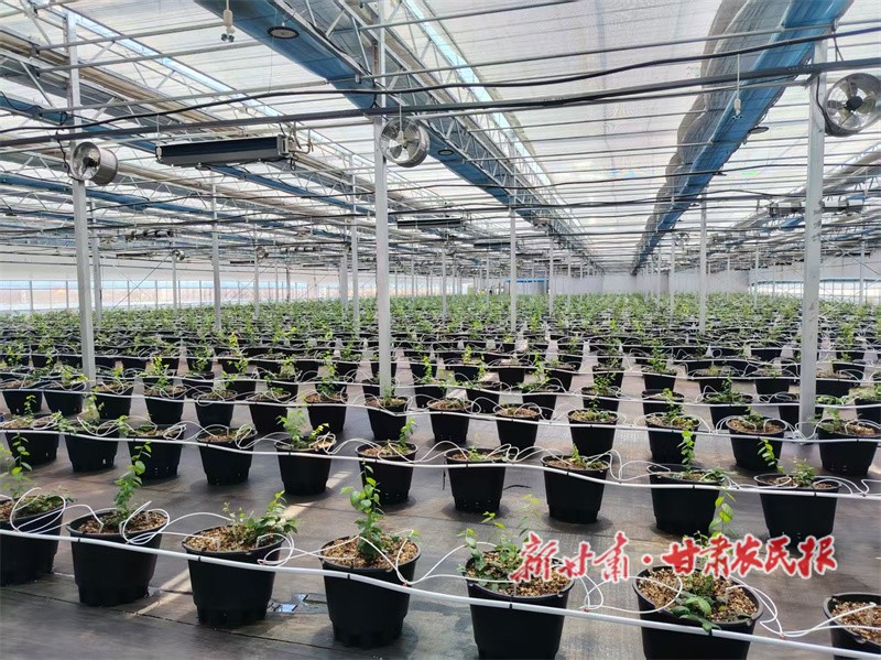 1759192604812499.jpg 1759141470705096015.jpg