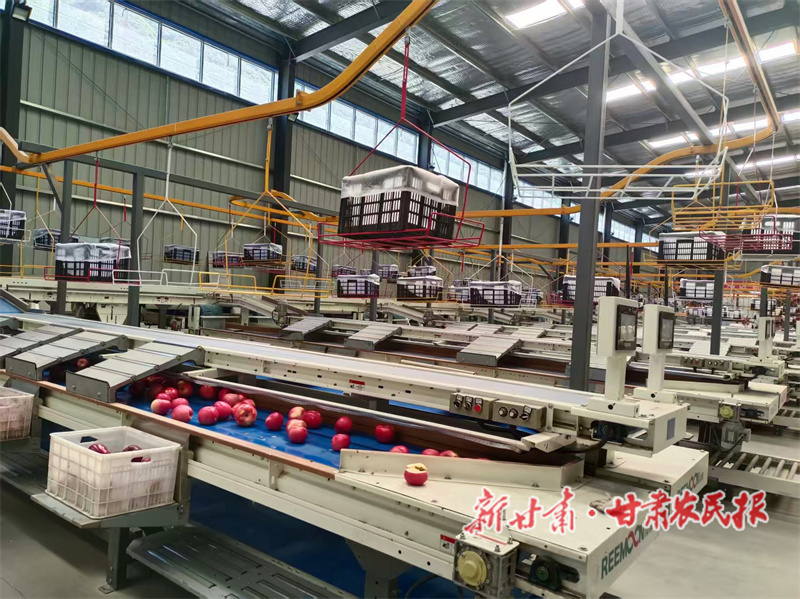 1759193370316974.jpg 1758894744935032535.jpg