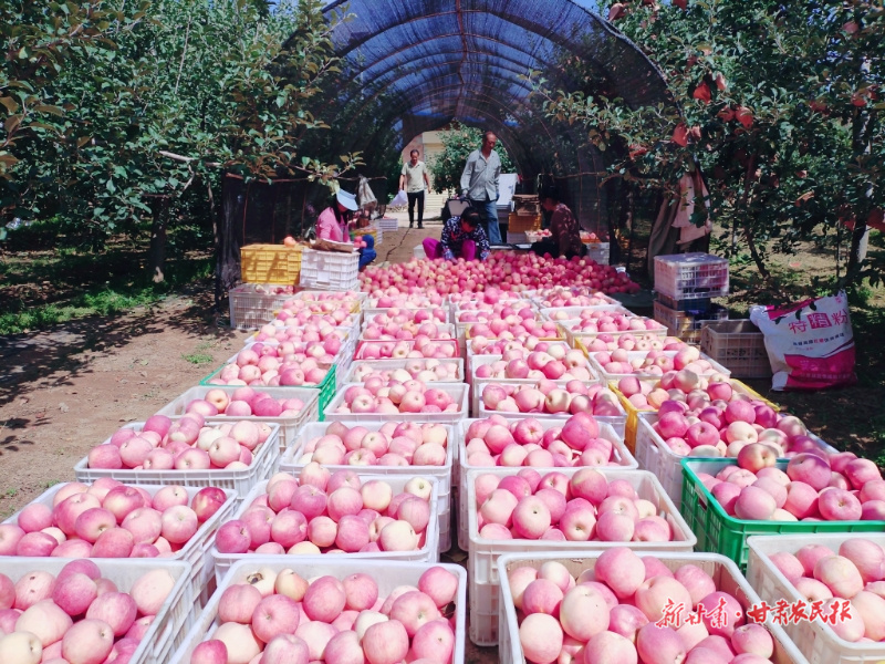 微信图片_20251009092127