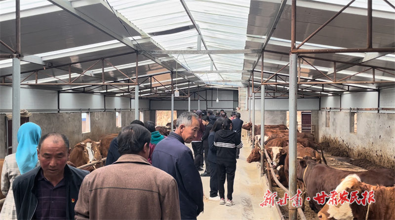 1760100514559718.jpg 微信图片_20251009160355_162_484.jpg