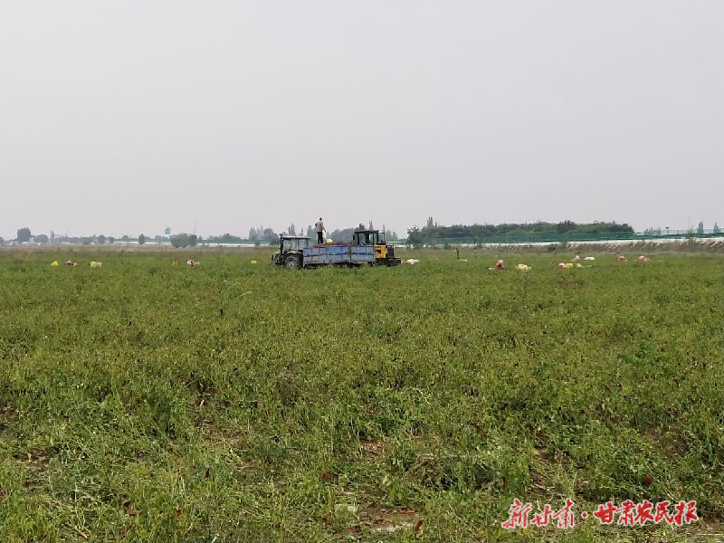 刘佳鑫2