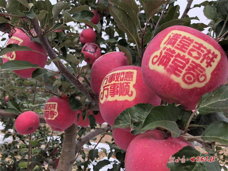 微信图片_20221014093348