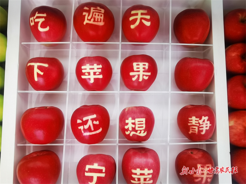 微信图片_20251016124747_396_208