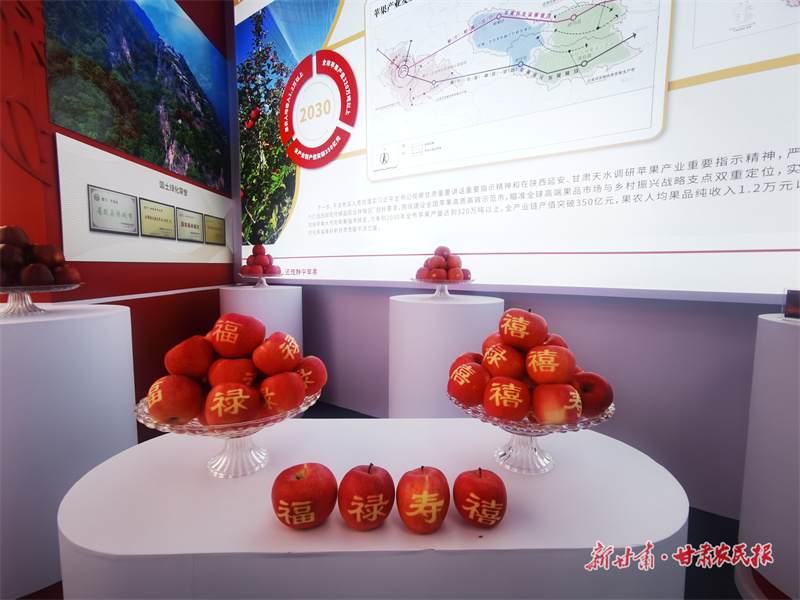 微信图片_20251016125006_410_208