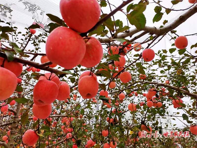 微信图片_20241016185856