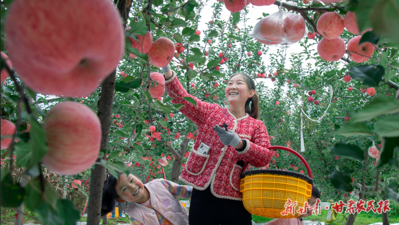 微信图片_20251022162503_186_30.png