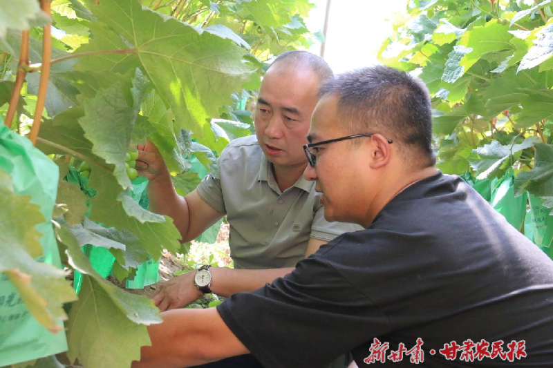赵水萍4
