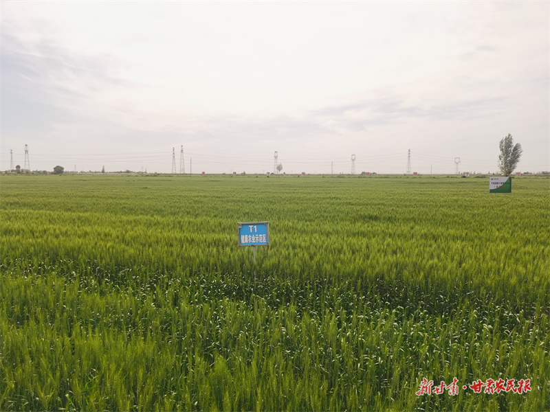 微信图片_20250716184923