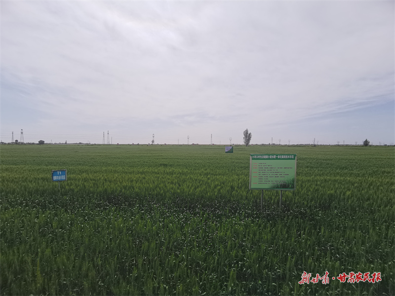 微信图片_20250716184906