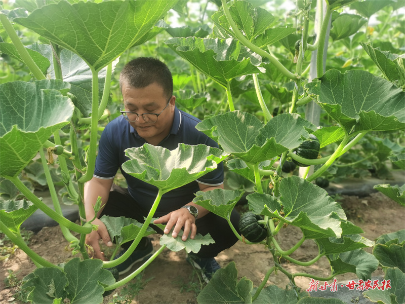 微信图片_20250716185100