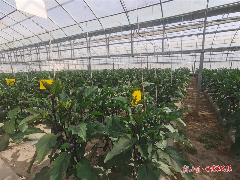 微信图片_20250716185049