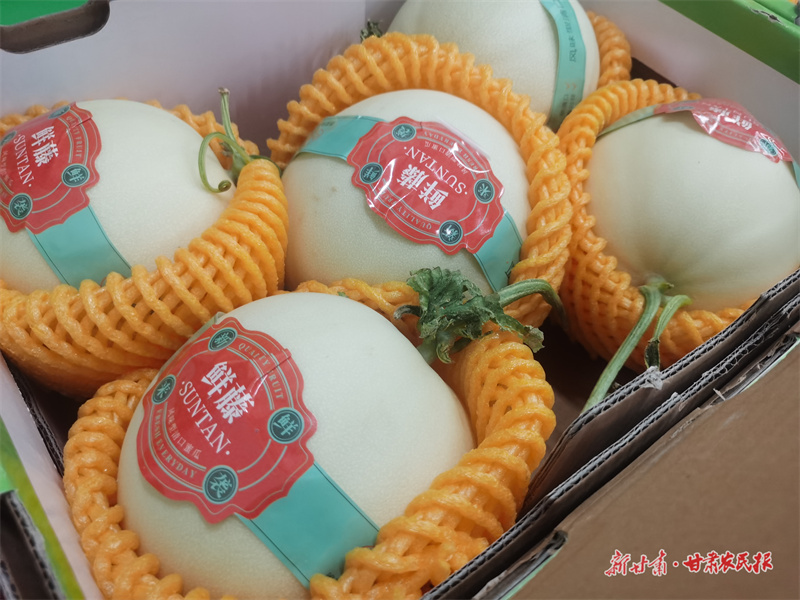 微信图片_20250716190209