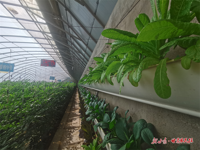 微信图片_20250716184959