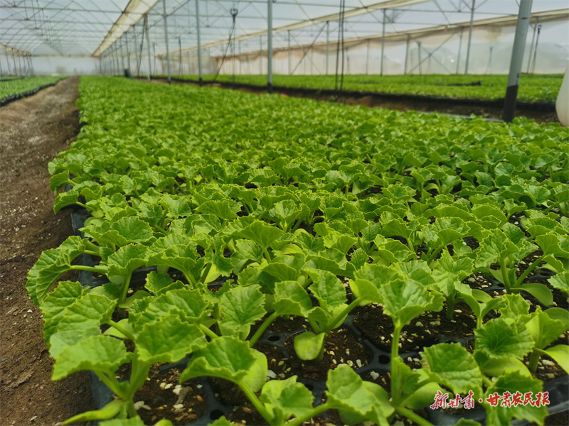 微信图片_20250716185200