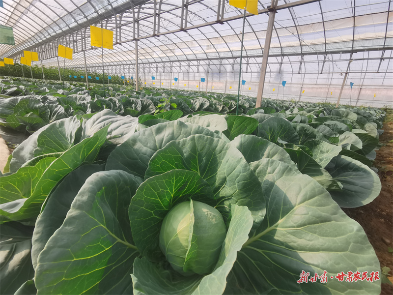 微信图片_20250716185016