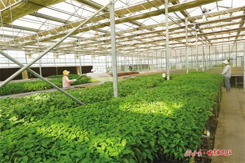 微信图片_20250718103845