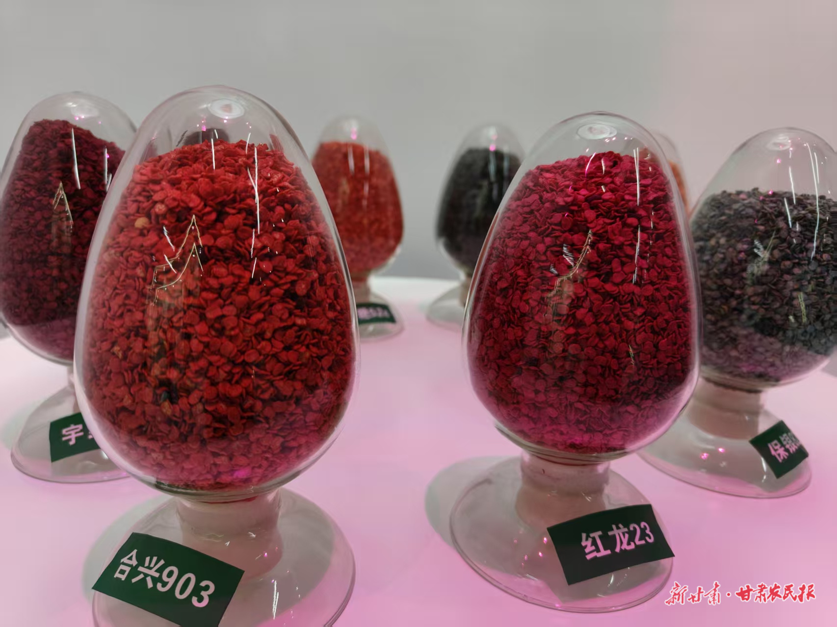 微信图片_20251031182922_185_8