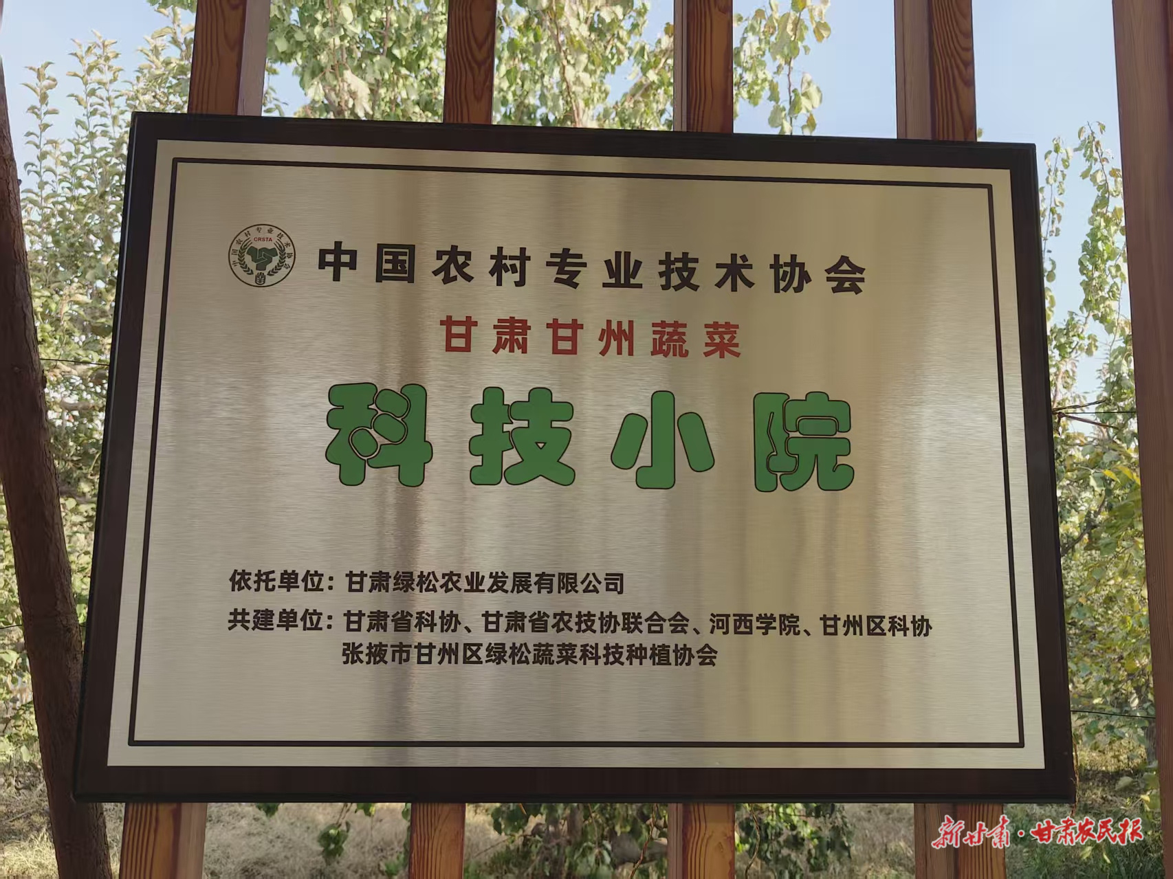 微信图片_20251031013837_165_8